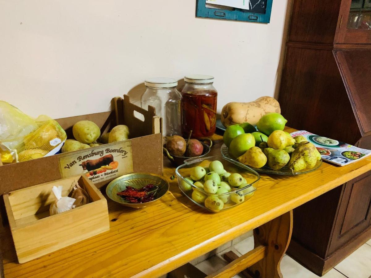 Farm Vibes Guesthouse 브리츠 외부 사진
